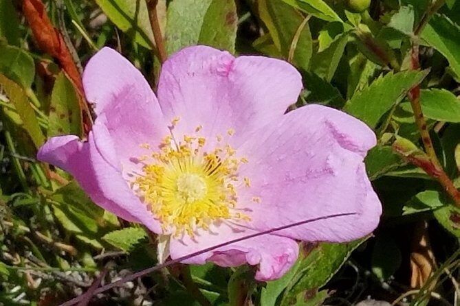 All Island Bus Tour - FAQ