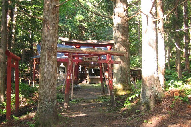 All Must-Sees Tono Private Tour with Government-Licensed Guide - Key Points