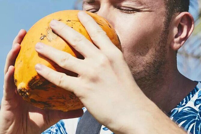 All New Tours "Bahamas Brunch" & "Signature Downtown Tour" - Key Points