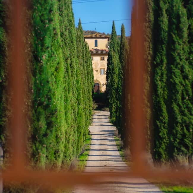 All Tuscany Wine Tour - A Closer Look at the All Tuscany Wine Tour