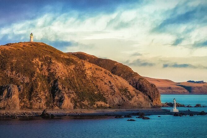 All Who Wander Wellington Are Not Lost - FAQs