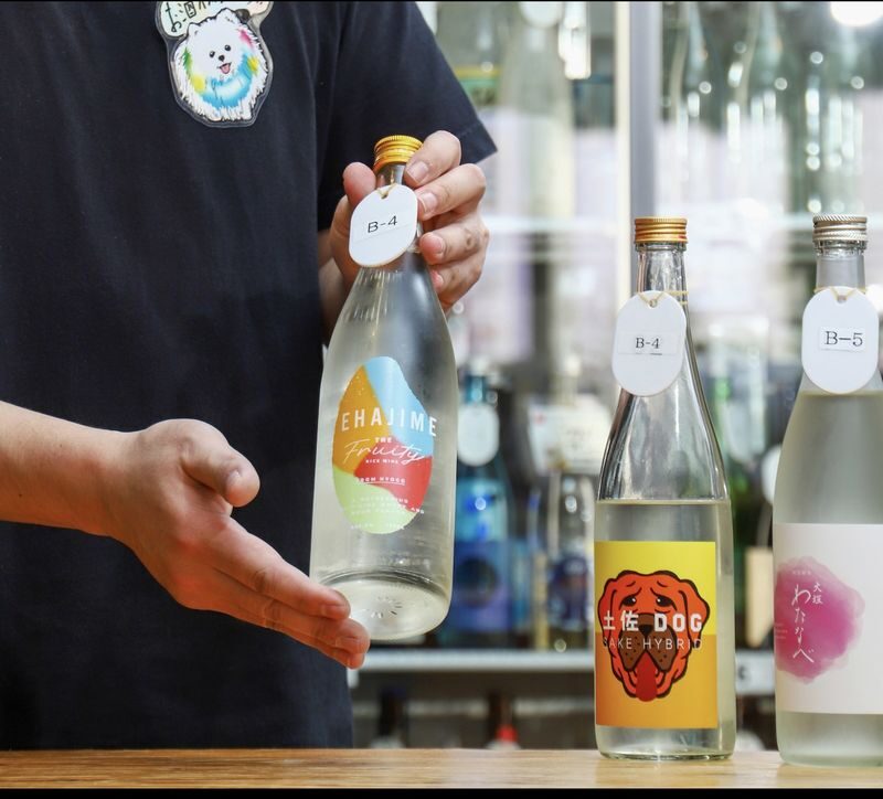 All-You-Can-Drink Japanese Sake Experience (Tokyo) - What to know before you book
