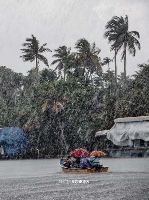 Alleppey: Kayaking and Shikkara Boat Tour with Local Meal - The Practicalities