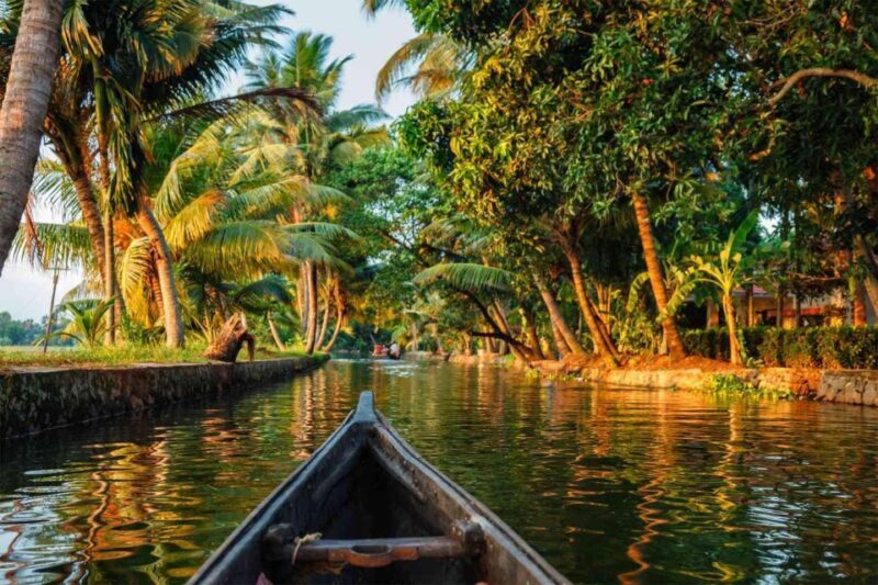 Alleppey Shikara boat ride - Authentic Experiences and Value