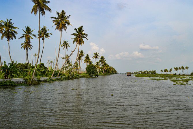 Alleppey Village and Canal Cruise in Houseboat from Kochi. - A Closer Look: What to Expect on This Backwater Day Trip