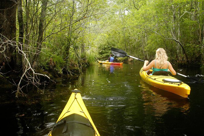Alligator River Kayak Adventure - The Sum Up: Is the Alligator River Kayak Adventure Worth It?