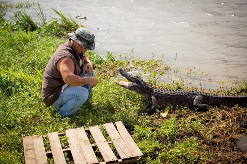 Alligator Swamp Tour by Gray Line New Orleans - Final Thoughts