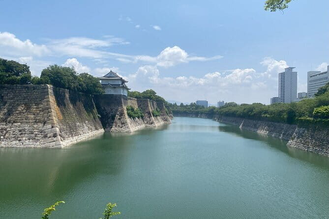 Allure of Osaka Walking Day Tour with a local guide - Who Is This Tour Best For?