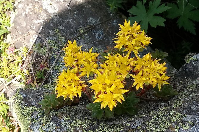 Alma-Arasan gorge tour - Alma-Arasan Gorge Tour: A Scenic Escape from Almaty