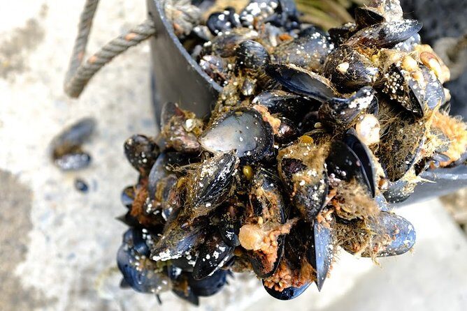 Almanza Port Tour with Lunch - Practical Tips for Your Trip