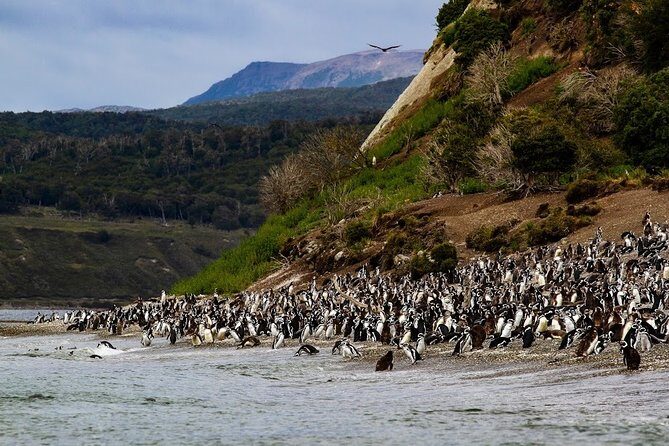 Almanza Port Tour with Lunch - FAQ