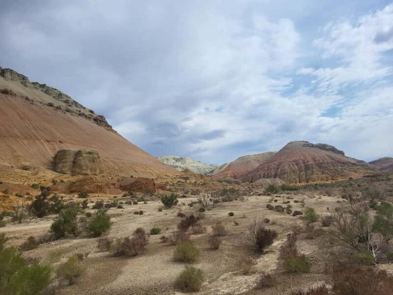 Almaty: Altyn Emel National Park Two-Day Trip - An In-Depth Look at the Tour Experience