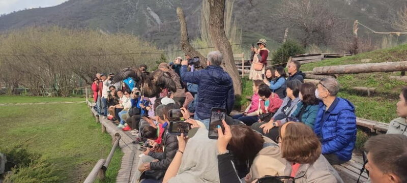 Almaty: Big Almaty Lake Hike and Falconry Show Tour - The Value of the Experience