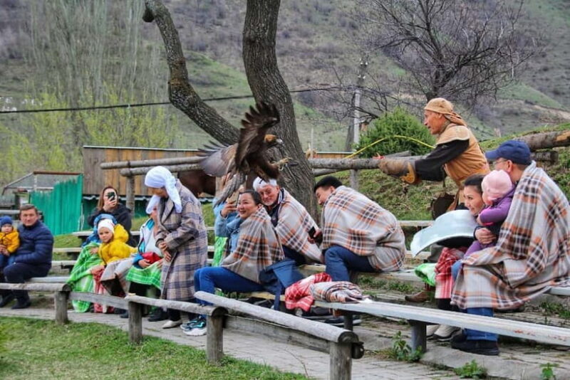 Almaty: Falconry show and Big Almaty Gorge - Who Is This Tour Best For?
