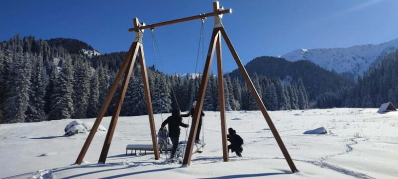 Almaty: Hiking to the High Mountain Pasture Kok Zhailau - Who Should Consider This Tour?