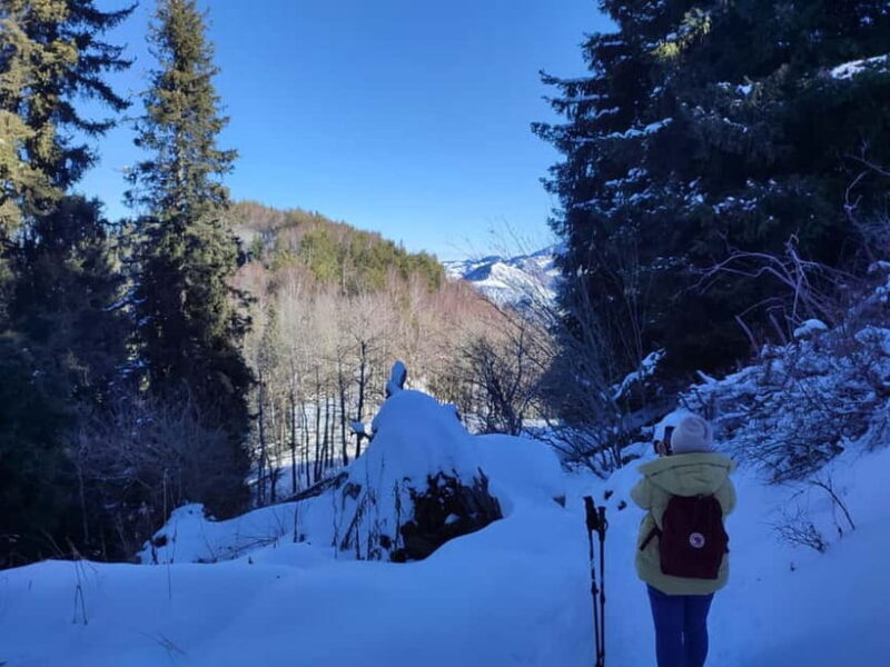 Almaty: Hiking to the High Mountain Pasture Kok Zhailau - Final Words