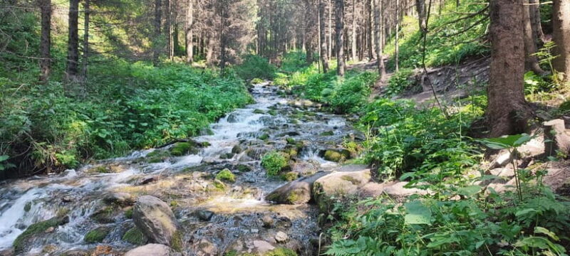 Almaty in a Day: Mountains and City Highlights - FAQs