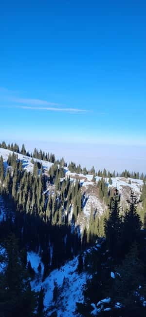 Almaty: Kim Asar Mountains and Waterfall Hiking Tour - Who Should Consider This Tour?