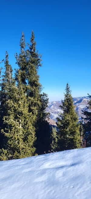 Almaty: Kok Zhailau Mountain and Batareika Waterfall Hike - Key Points