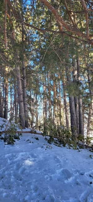 Almaty: Kok Zhailau Mountain and Batareika Waterfall Hike - The Experience of a Lifetime—But Not for Everyone