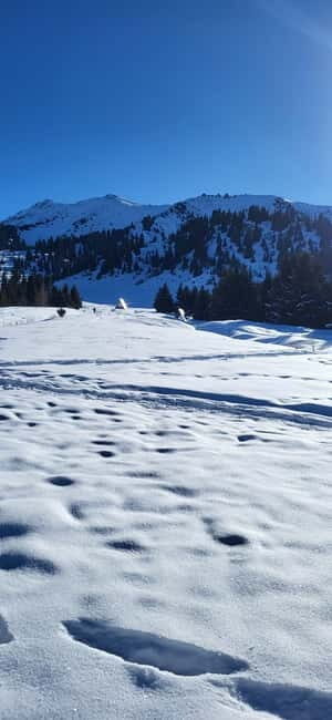 Almaty: Kok Zhailau Mountain and Batareika Waterfall Hike - Final Thoughts: Who Would Love This Tour?