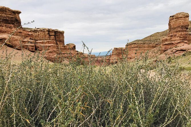 Almaty Region 5 Days Private Tour from Almaty - An In-Depth Look at the 5-Day Private Tour in Kazakhstans Stunning Almaty Region