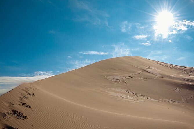 Almaty to Altyn-Emel National Park Private Tour - In-Depth Review of the Altyn-Emel Private Tour