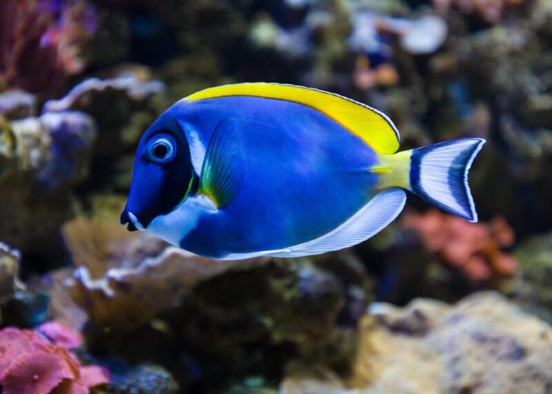 Almería: Aquarium Costa de Almería Entry Ticket - Who Will Love This Experience?