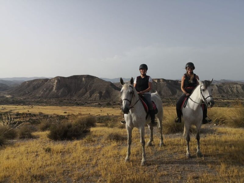 Almeria: Horse Riding Tour Through the Tabernas Desert - An Authentic Ride Through the Heart of Andalusias Only Desert