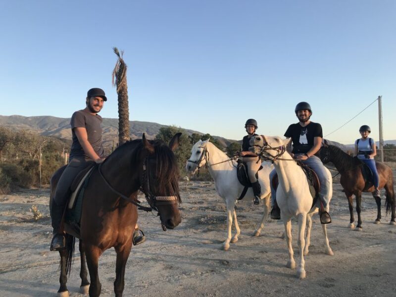 Almeria: Horse Riding Tour Through the Tabernas Desert - Who Should Consider This Tour?
