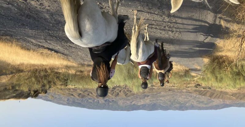 Almeria: Tabernas Desert Horse Riding for experienced riders - The Horses and the Guides