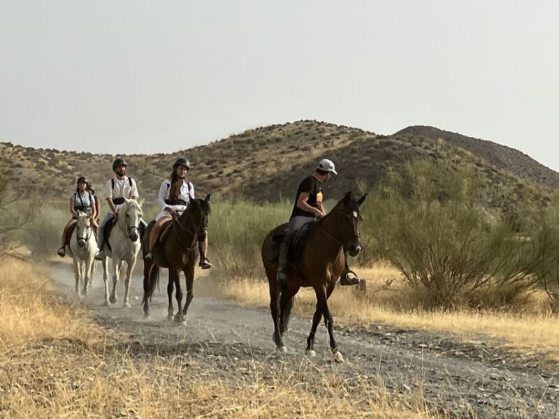 Almeria: Tabernas Desert Horse Riding for experienced riders - The Route and Scenic Highlights