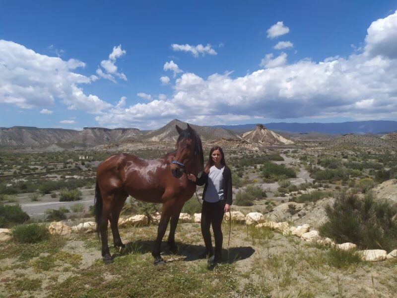 Almeria: Tabernas Desert Horse Riding for experienced riders - End of the Ride and Optional Picnic
