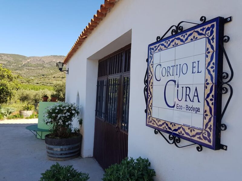 Almería: Wine tour and aperitif from La Alpujarra in Winery - Who Will Love This Tour?