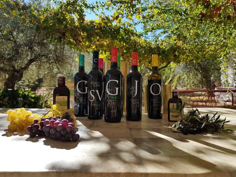 Almería: Wine tour and aperitif from La Alpujarra in Winery - FAQs
