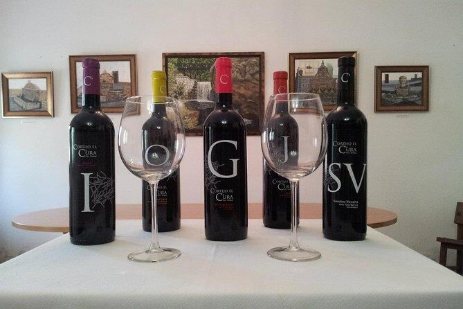 Almería Wine tour and tasting in English in Bio Winery - A Genuine Taste of Andalucia: Wine Tasting at Cortijo El Cura Eco-Bodega