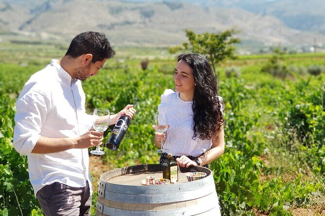 Almería Wine tour and tasting in English in Bio Winery - A Close Look at the Experience
