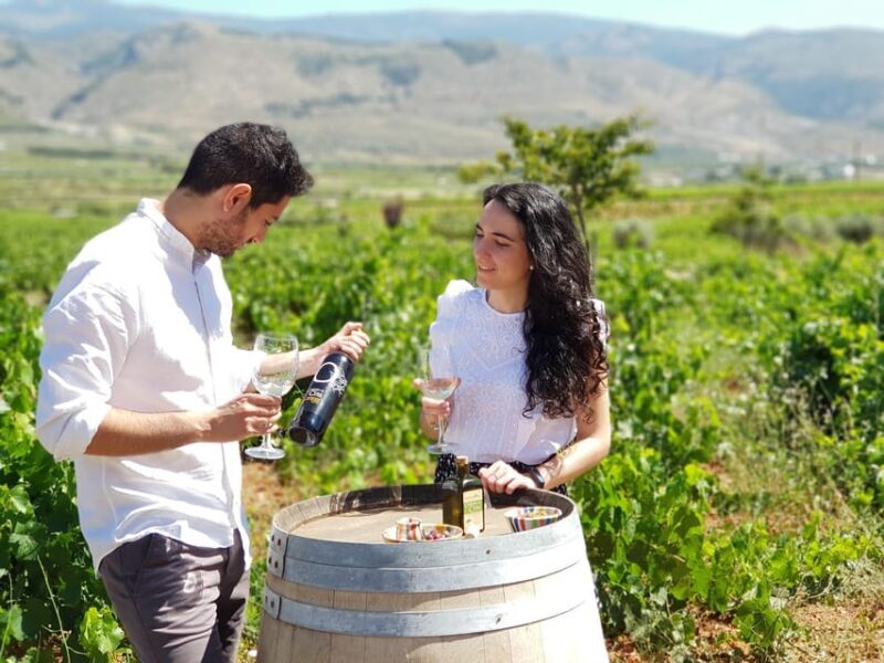 Almería: Wine tour and tasting in Organic Winery - Key Points