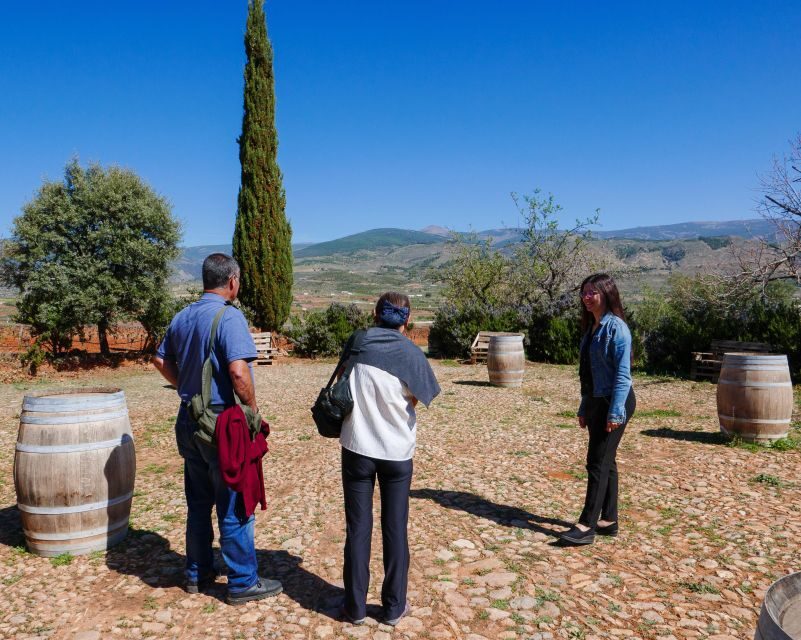 Almería: Wine tour and tasting in Organic Winery - What Makes This Tour Unique?
