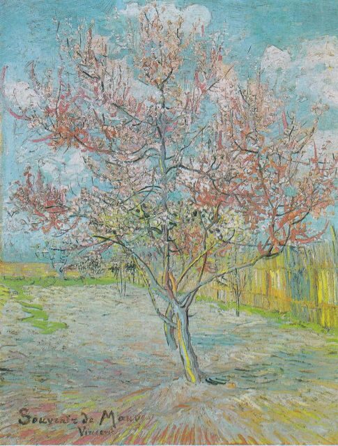 Almond Bloom Adventure: Nature's Art - Audio Driving Tour - Exploring California’s Almond Orchards with a Personal Touch