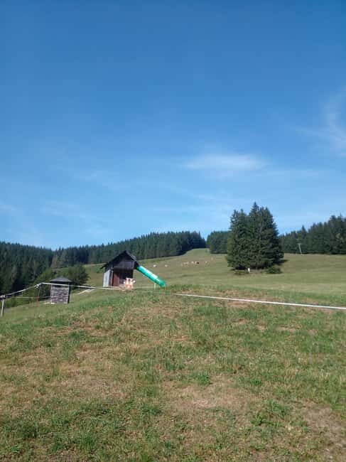 Alp Mountains Tour - Transportation and Group Experience