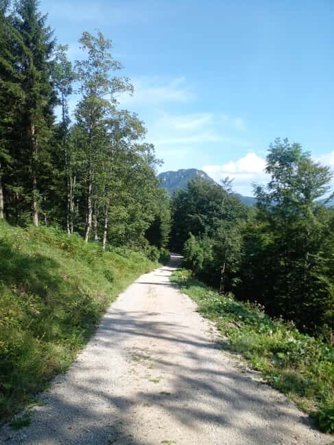 Alp Mountains Tour - Who Should Consider This Tour?