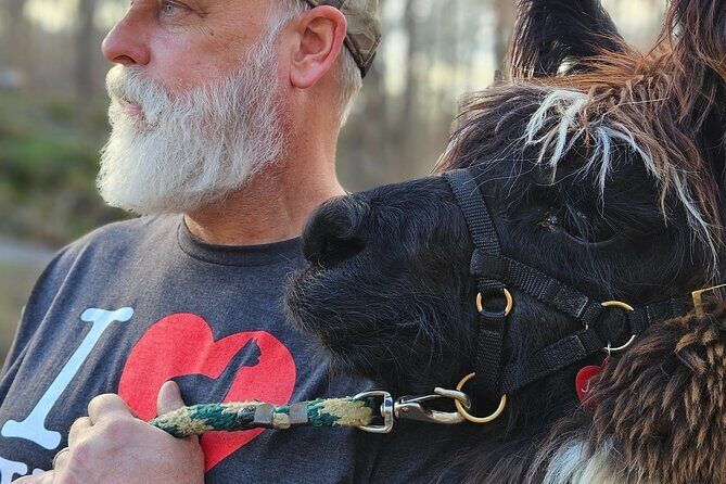 Alpaca and Llama Encounter with Guided Walk - The Sum Up
