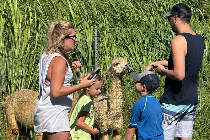 Alpaca Farm Experience on the Road to Hana - FAQ