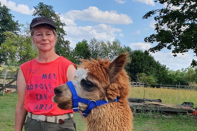 Alpaca hike in the Barnimer Feldmark - A Deep Dive into the Alpaca Hike Experience