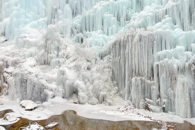 Alpaca, Nami, Eobi with Rail Bike or Strawberry - Final Thoughts