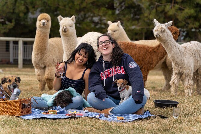 Alpaca Picnic Experience in Oregon - A Unique Alpine Experience in Bend, Oregon