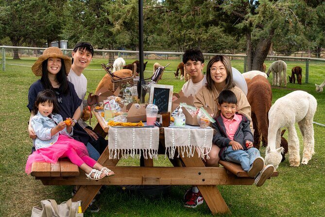 Alpaca Picnic Experience in Oregon - Key Points