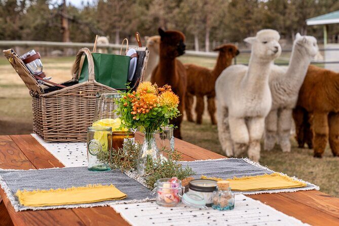 Alpaca Picnic Experience in Oregon - Wrapping Up