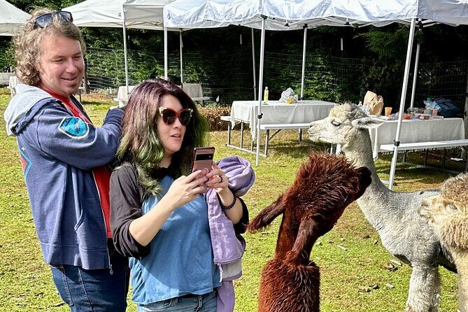 Alpaca Picnic - Immersive Animal Encounter - Seattle Experience - Frequently Asked Questions